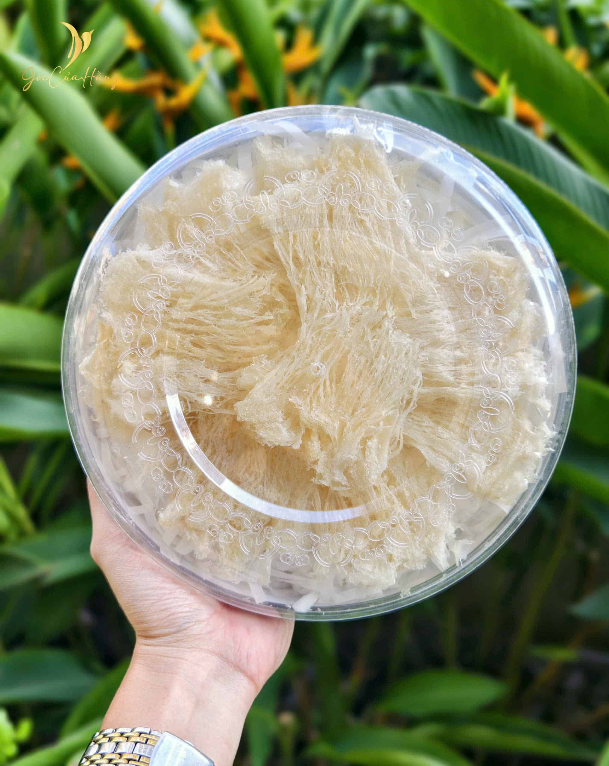 Chân Yến Rút Lông - Chân Tinh Ria - Ảnh 3