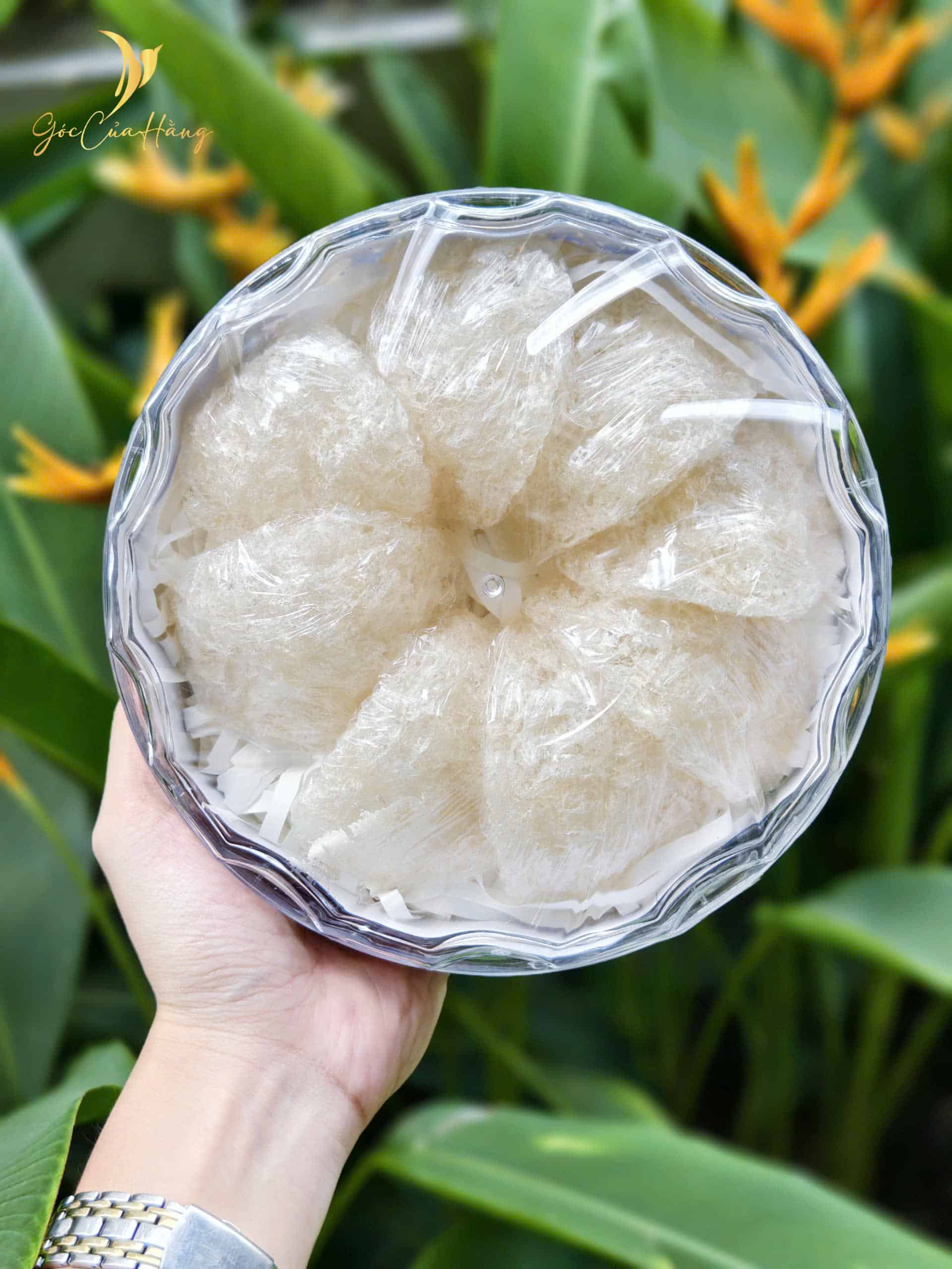 Tổ Yến Xơ Mướp Khánh Hòa - Ảnh 2